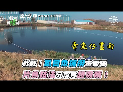 【壯觀！虱目魚捕撈畫面曝 片魚技法分解秀超吸睛！】｜@目映台北