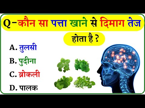 GK Question || GK In Hindi || GK Question and Answer || GK Quiz ||