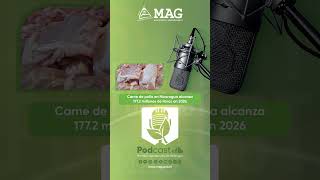 #PodcastMAG I Carne de pollo en Nicaragua alcanza 177.2 millones de libras en 2026