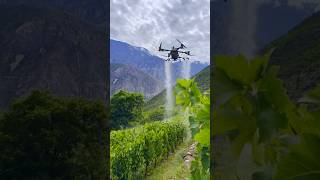 POV: Flying Over the Vineyard | DJI Agras T100