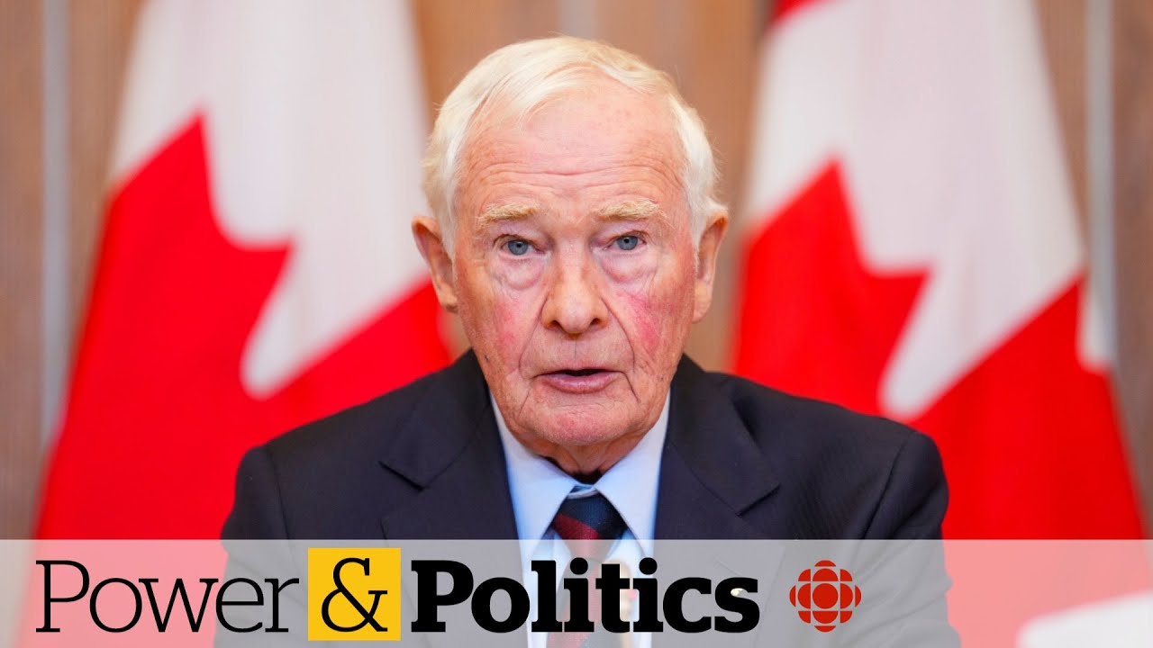 Was David Johnston the right person for special rapporteur job?