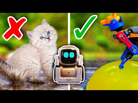 Cozmo Tries GENIUS Pet Life Hacks from 5-Minute Crafts