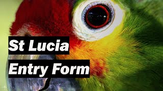 🇱🇨 How to complete the Saint Lucia Entry Form