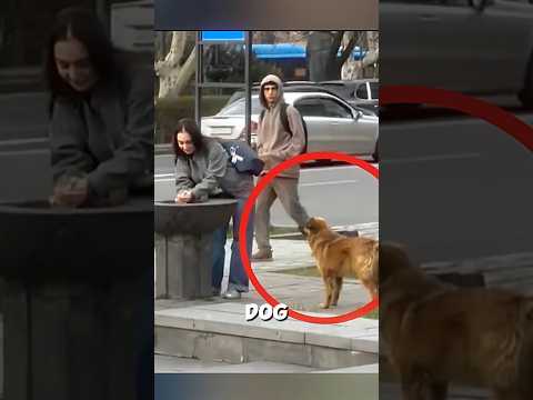 One Girlโs Kindness Saved a Thirsty Dog โค๏ธ ๐ #dog