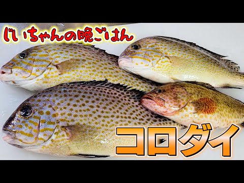 【爺ちゃんの晩御飯】味がふっくらしたコロダイ尽くしの定食で大満足！！