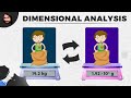 Exploring Scientific Notation and Dimensional Analysis