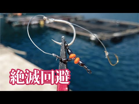 堤防からマンモスなみのパワーを持つ魚が所狭しと釣れて驚いた！！！