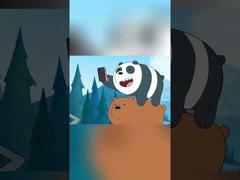 Por que os três ursos sempre ficam na mesma ordem? 🐻#shortvideos #vairal