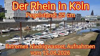Pegelstand: 55 cm - Extremes Niedrigwasser, der Rhein in Köln am 12.08.2026