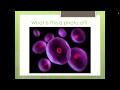 Cell Structure and Function Concepts