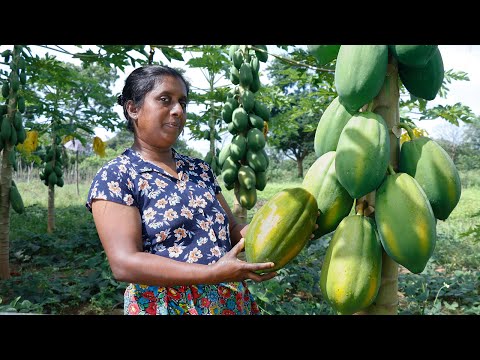 Delicious papaya 🍐 Make a delicious dessert with red papaya 😍.  village kitchen recipe