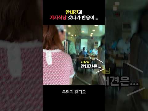 기사식당은 진짜 처음인데 이럴수가.. #shorts