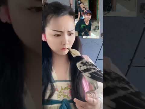 Burung pintar #shortvideo