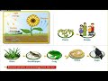 Energy Sources and Nuclear Reactions