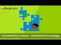 Ecological Interconnections and Factors