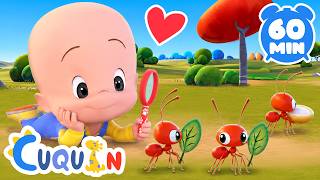 Explore Nature with Cuquin! 🐝🌼 Bugs, Flowers & Outdoor Adventures for Kids