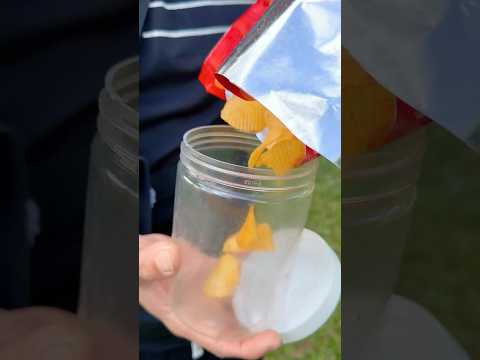 WASTE LESS, FEED MORE🌍 #ohd #survival #camping #bushcraft #skills