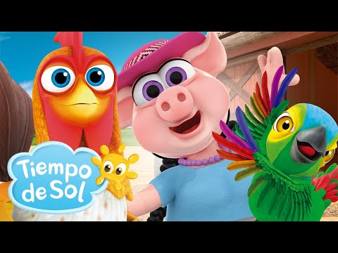 Así es la Granja! 🐓Canciones de los Animales 🫏🐄 /  Dúo Tiempo de Sol