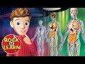 Exploring the Human Body Systems for Kids