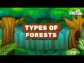 Types of Forests in India