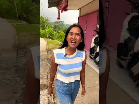 Ikut
