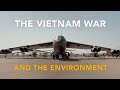 Environmental Perspectives on Vietnamese History