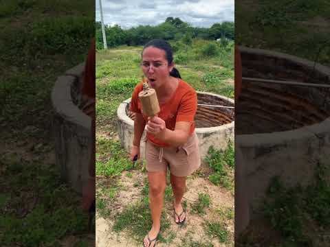 Cachorro estranho #humor #funil #comedia #animatin #memes #comedy ￼