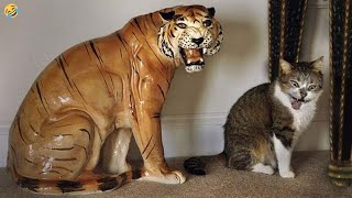 Funniest Animals 😄 New Funny Cats and Dogs Videos 😹🐶 Part 1