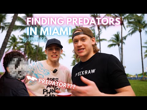 FINDING "PREDATORS" IN MIAMI