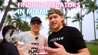FINDING "PREDATORS" IN MIAMI