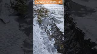 Záhorácky les v januári -3c   #hriby #huby #houby #mushroom #fungi #pilze