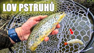 Pstruhové zahájení - 2026 na malém potoku, objevil se král tůně / UL ultralehká přívlač s larvami