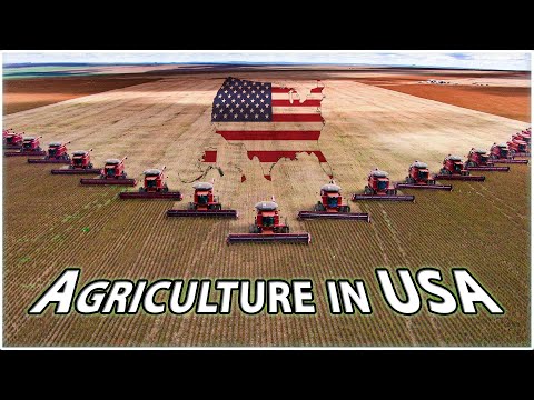 Agriculture in the United States of America | Top Crops in USA