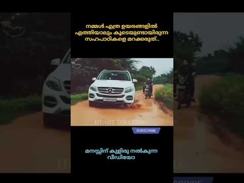 മനസ്സിന് കുളിരു നൽകുന്ന വീഡിയോ #shortvideo #shortsviral #shorts #trending