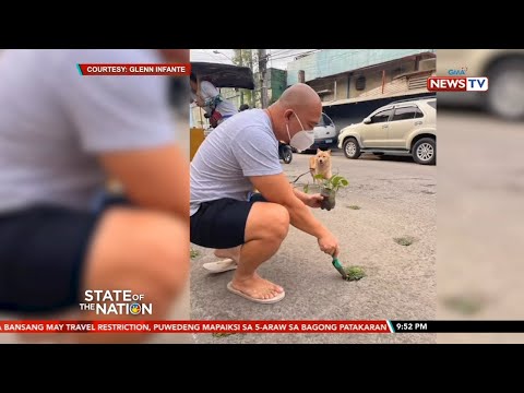 Lalaking Ginawang Taniman Ang Mga Butas Sa Kalsada Nag Viral Sa Social