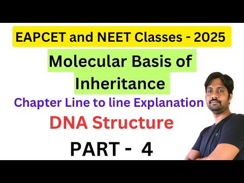 Molecular Basis of Inheritance || Double Helix Structure of DNA || EAPCET and NEET Classes 2025