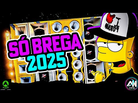 SÓ BREGA 2025 AS MAIS TOCADAS TIKTOK - TOP AS MELHORES SELEÇÃO 2025 - MÚSICAS PARA PAREDÃO DE SOM