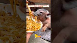 These animals just being themselves and making you smile