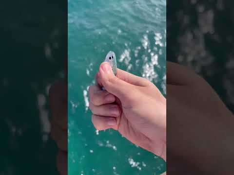 جربت صيد السمك لأول مرة! 🎣🐠