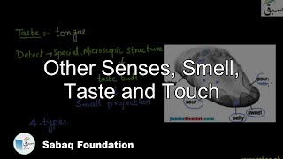Other Senses, Smell, Taste and Touch