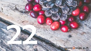 22. Dezember 2021 - Sylvia Schneider liest "Gemeinsam geht es besser"