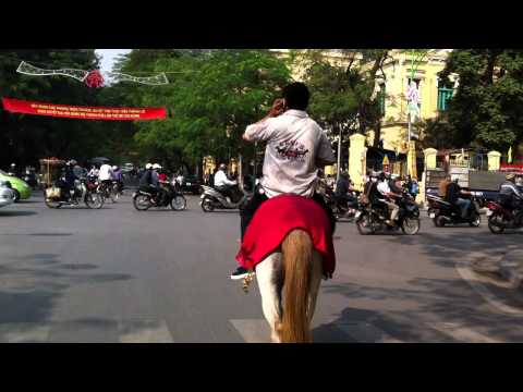 Cưỡi ngựa trên phố Lý Thường Kiệt