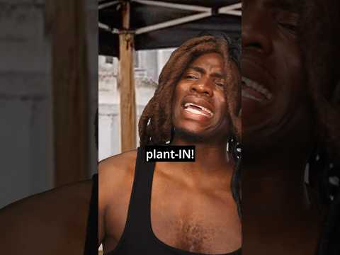 Is it plantAIN or plantIN? 🍌🤔