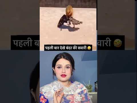 Kya kya dekhne ko mil rha #sksurbhi #ytshorts #shorts #trending #viral #comedy #funny