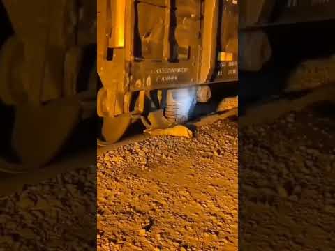 اغرب تجربه في العالم