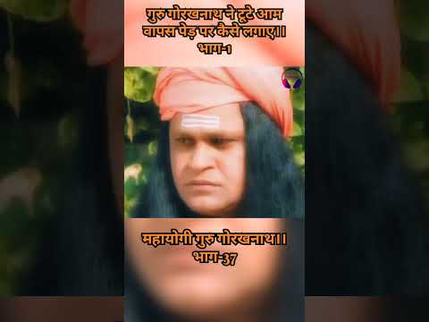 गुरु गोरखनाथ ने टूटे आम वापस पेड़ पर कैसे लगाए भाग-1#gurugorakhnathkikatha #gorakhnathstatus #gogaji