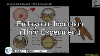 Embryonic Induction (Third Experiment)
