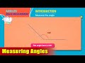 Measuring Angles with a Protractor