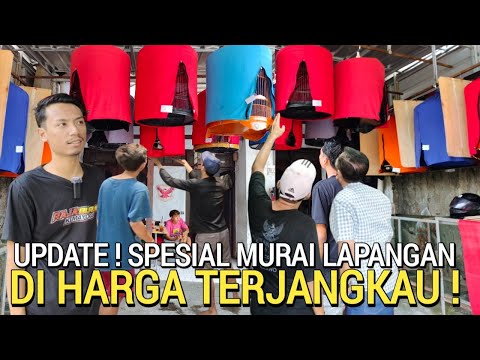 MURAI BATU ! BEBAS PILIH HARGA TERJANGKAU BINTANG LAPANGAN GANTANGAN MASTERPIECE