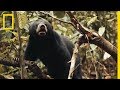 Narrator's Emotional Journey in Nature